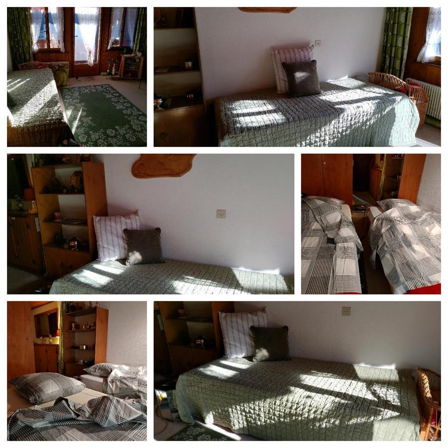 Studio Avec Vue Splendide Sur Les Diablerets Exterior foto