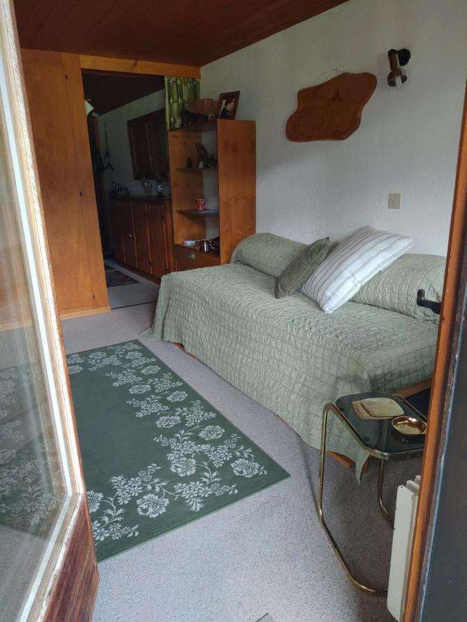 Studio Avec Vue Splendide Sur Les Diablerets Exterior foto
